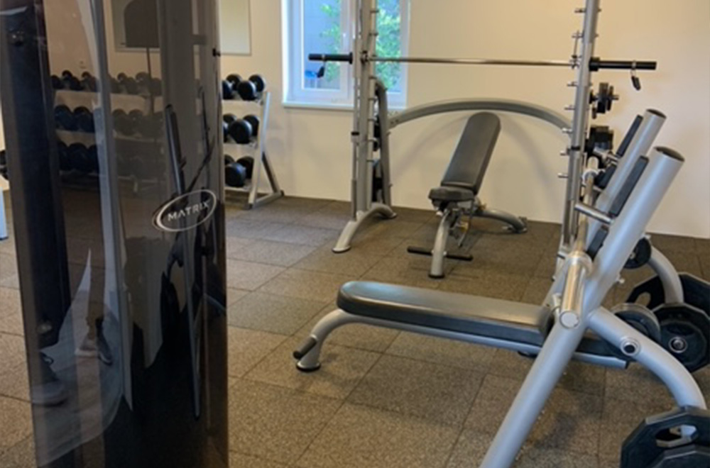 fitplus_Schmidt_Freihantelbereich